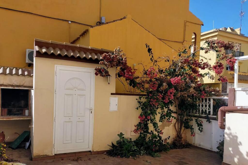 Mar Azul Adosado, Patio Y Solarium Apartman Torrevieja Kültér fotó